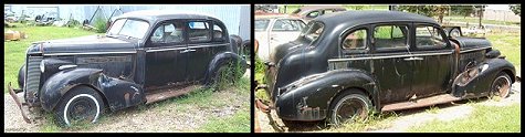 Daisy